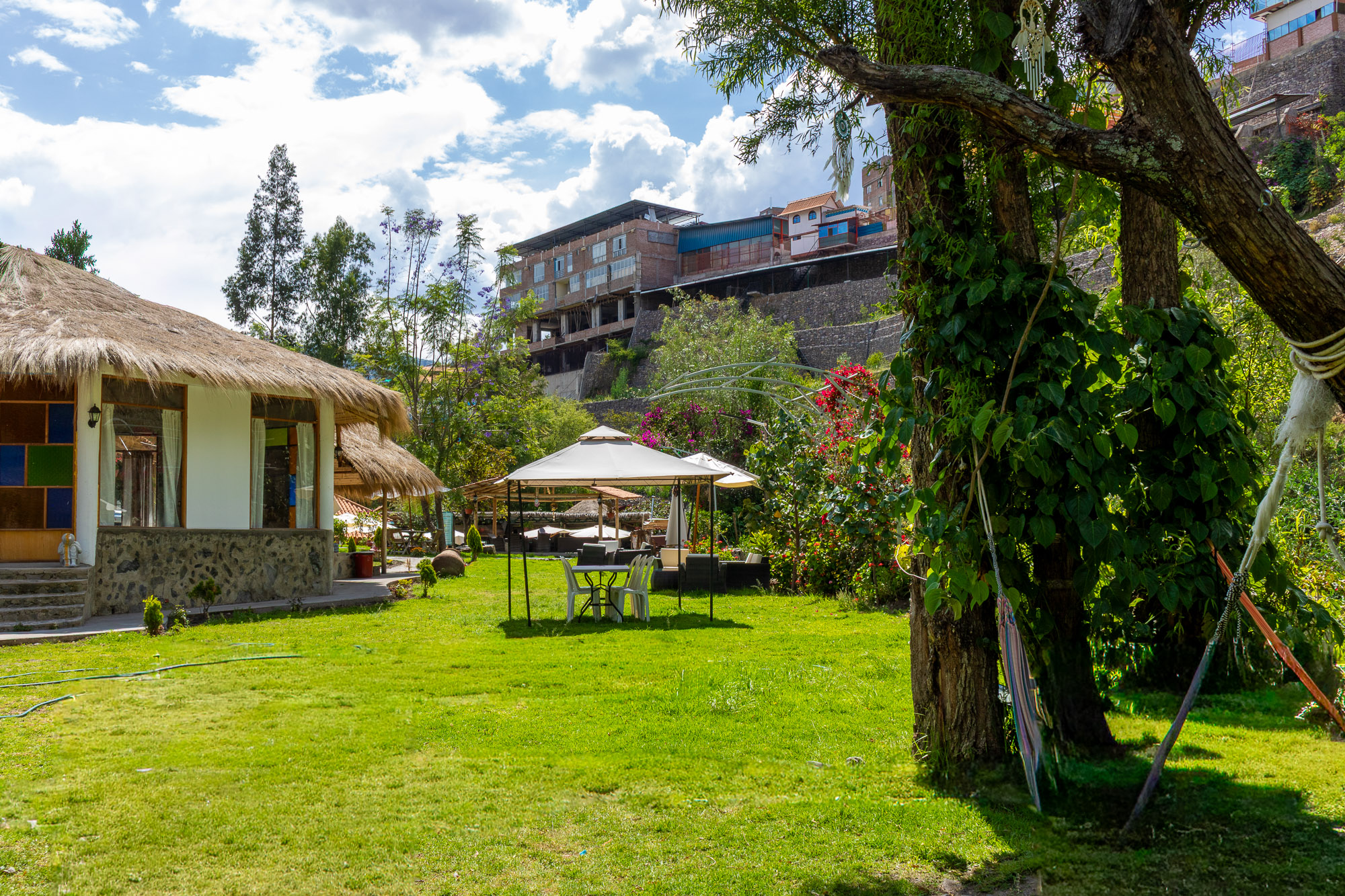 Zona de Comedor